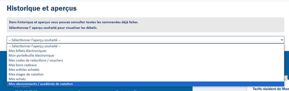 LAGO Webshop - Historique