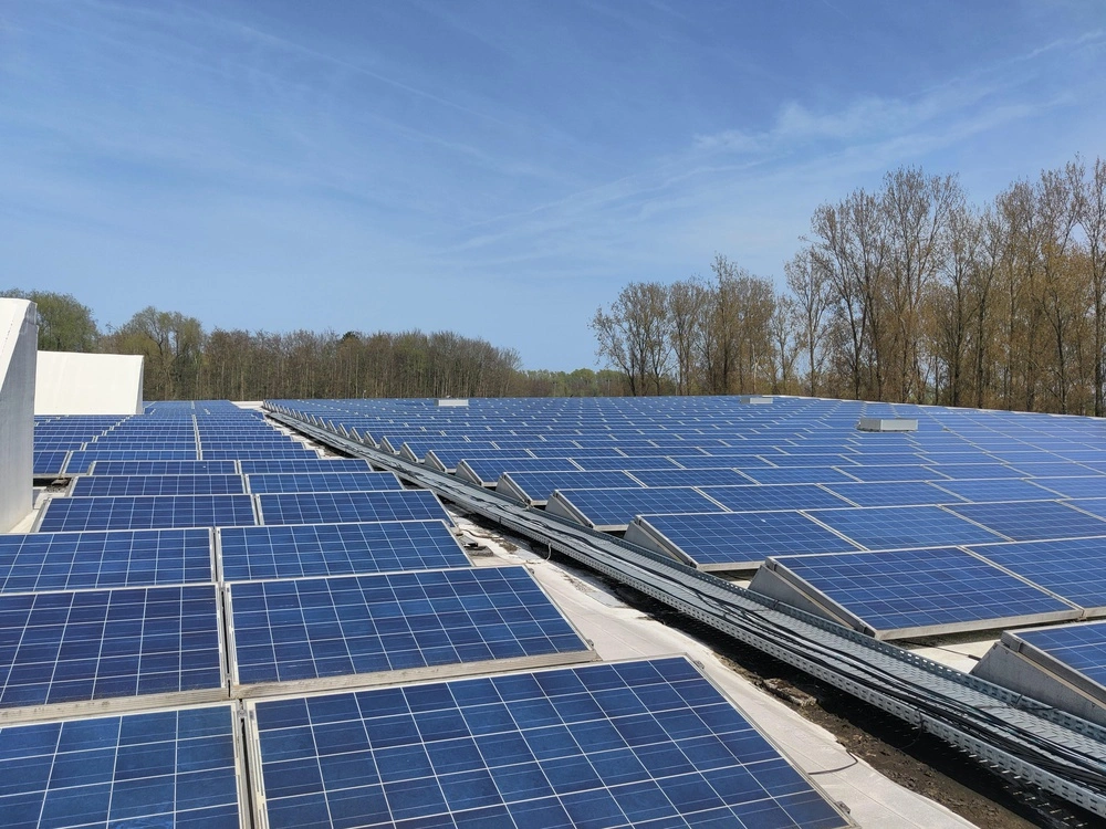 LAGO goes green!