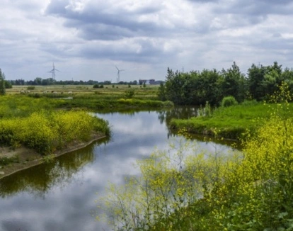 LAGO Beveren landschap met waterpartij en windmolens op de achtergrond