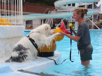 LAGO Kortrijk Abdijkaai hond met baasje