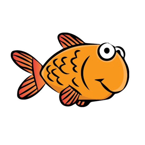 goudvis