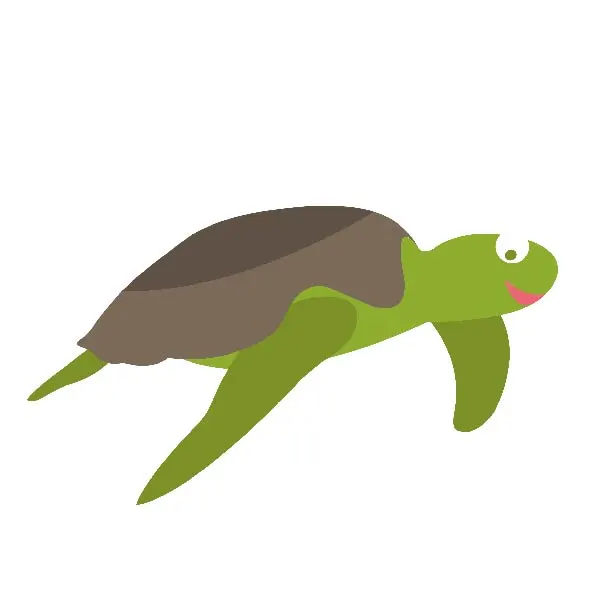 LAGO WaiWai waterschildpad